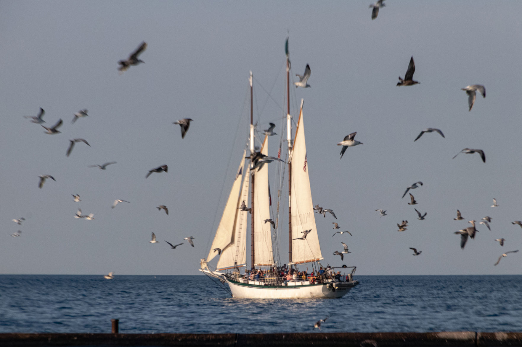 Kathy Brand: Tall ship Appledore